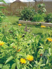rekonstrukce rodinné zahrady - bylinkový záhon