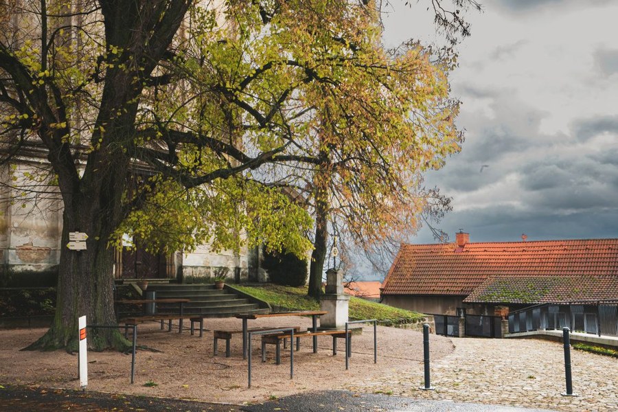 Veřejná zeleň